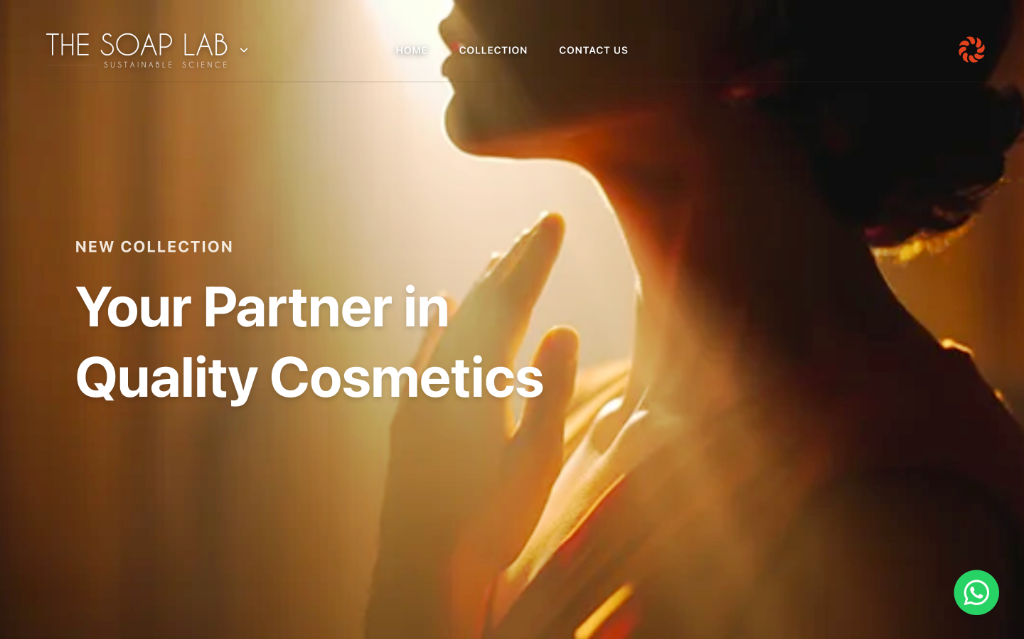 Website homepage design preview 5